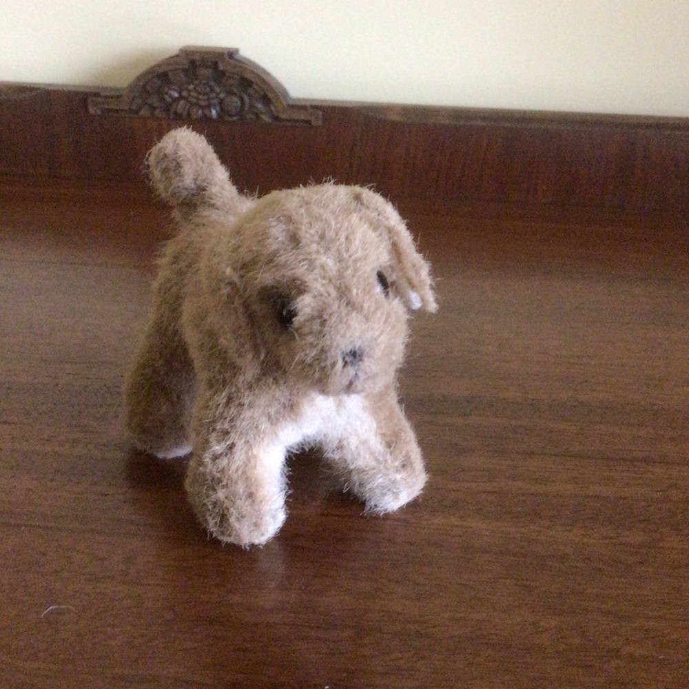 Kosen Dog